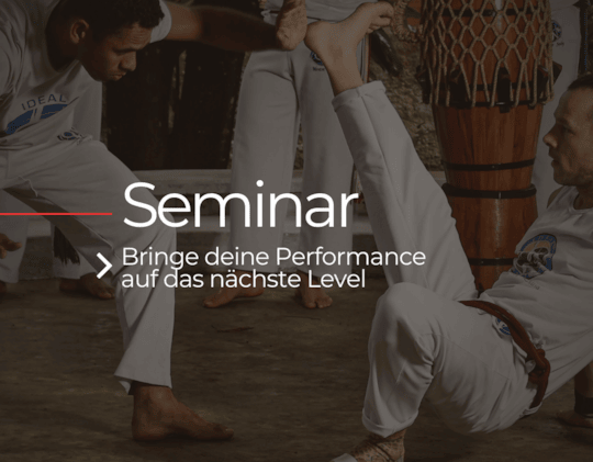 Capoeira Seminar